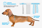 Dog Back Brace in Eight Sizes from 7 to 21 Inches, Selected Using