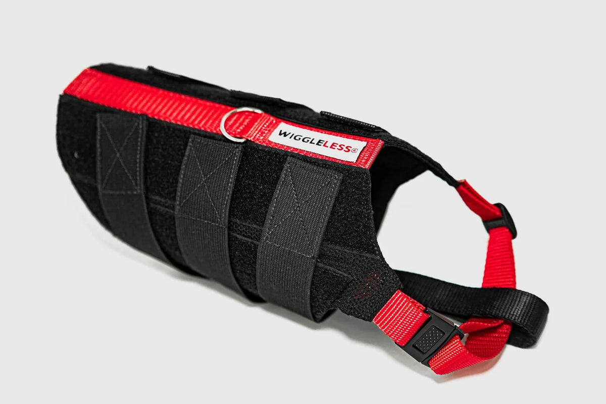 Dog Back Brace with Firm Spine Support, Adjustable Velcro Straps and Lead D-Ring in Eight Measured Sizes
