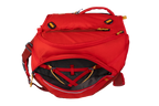 Dog Backpack