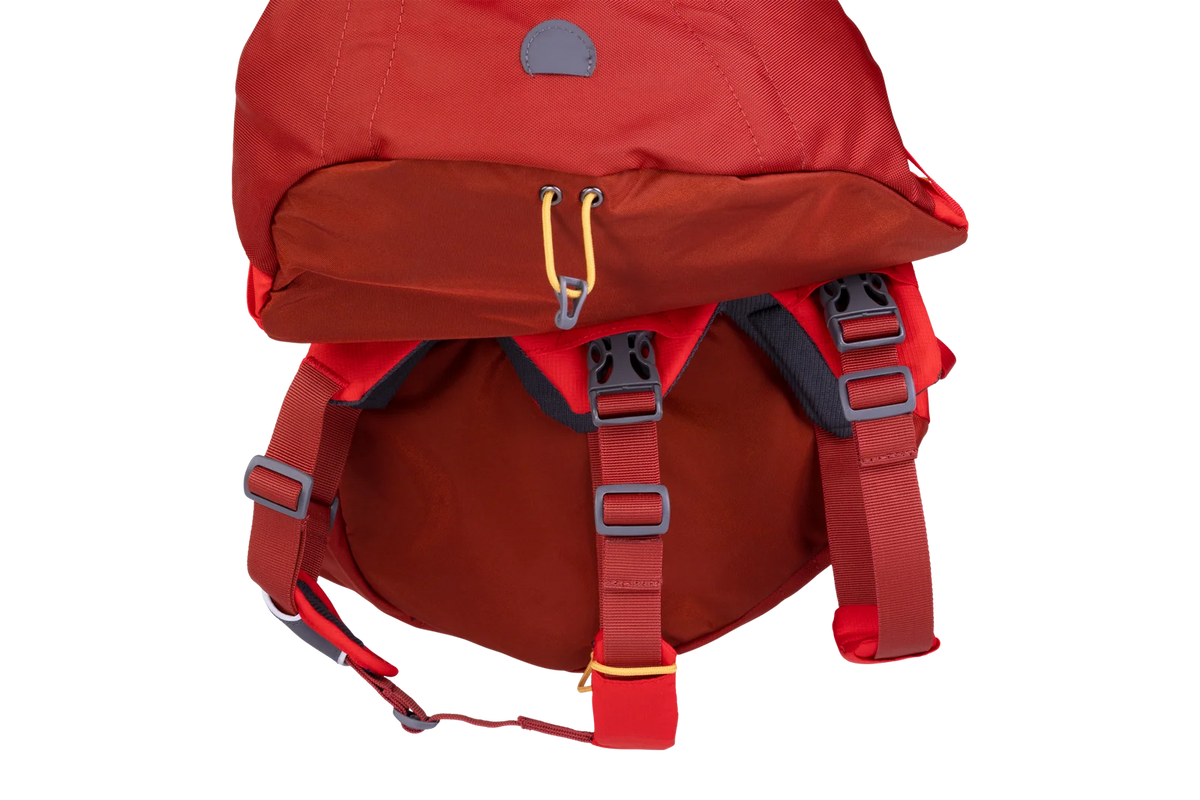 Dog Backpack