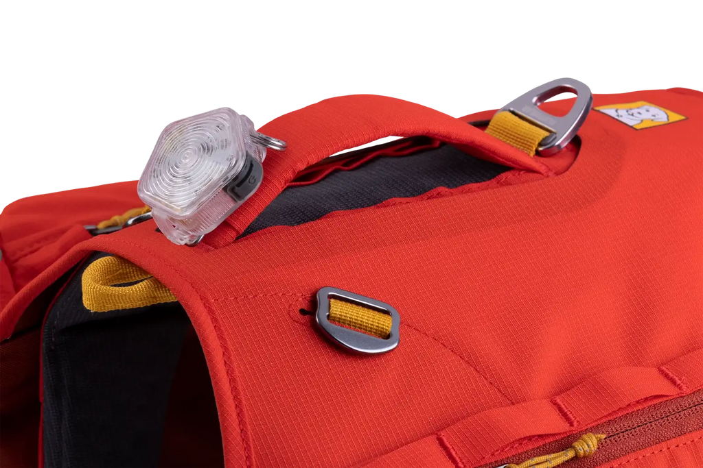 Dog Backpack