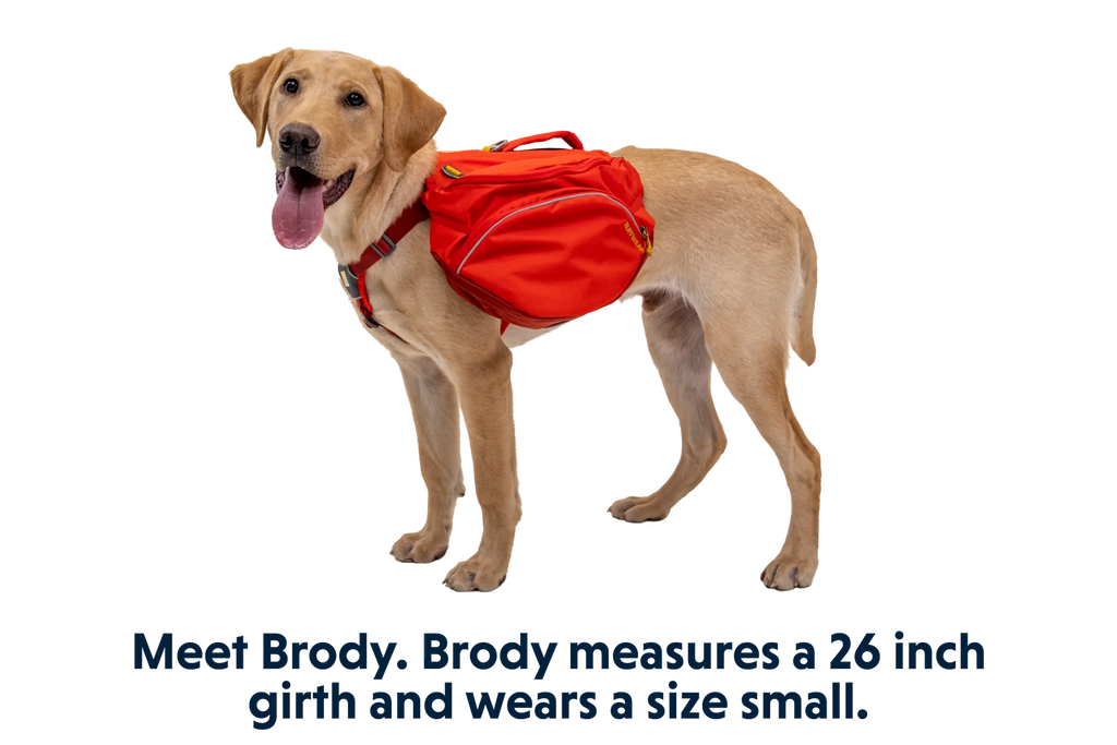 Dog Backpack