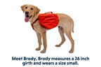 Dog Backpack