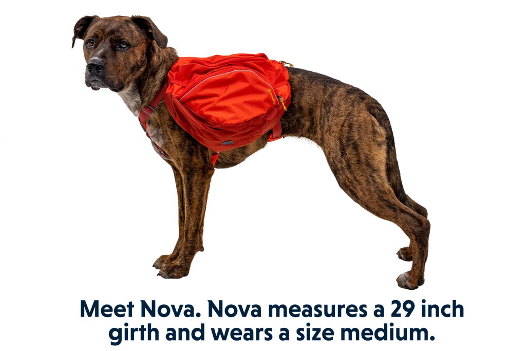 Dog Backpack