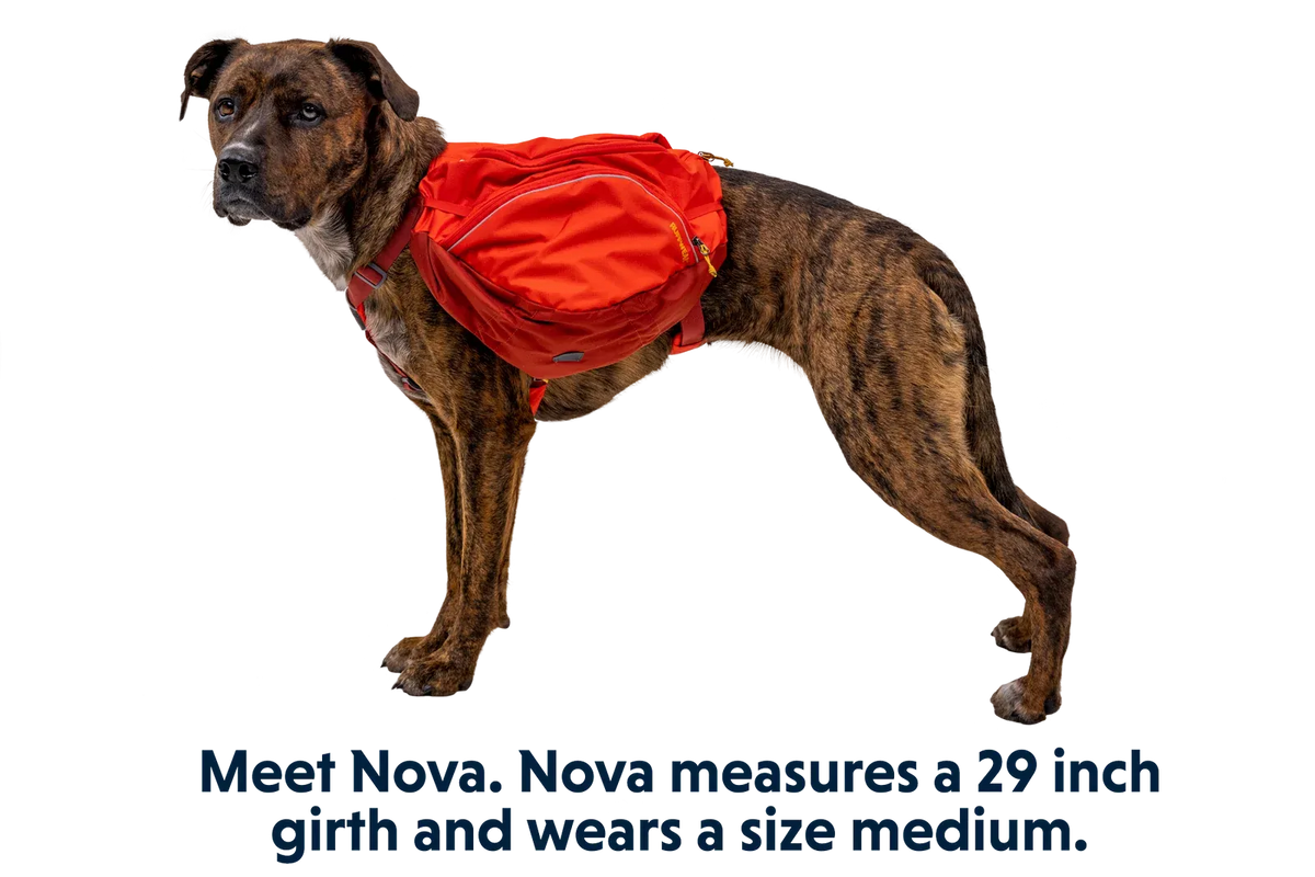 Dog Backpack