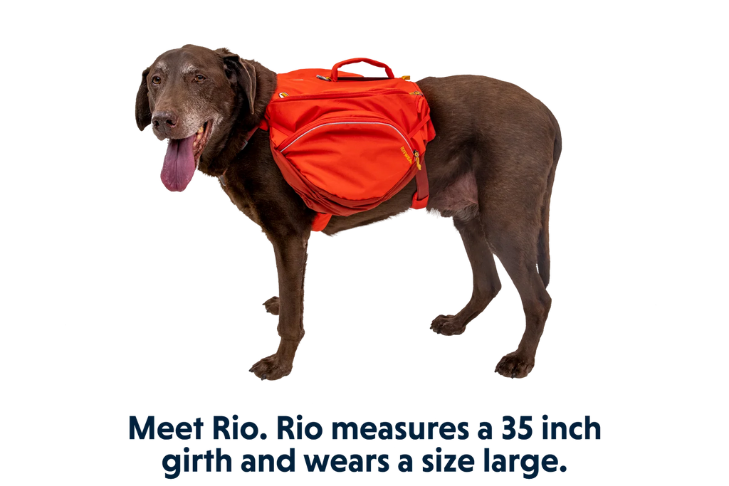 Dog Backpack