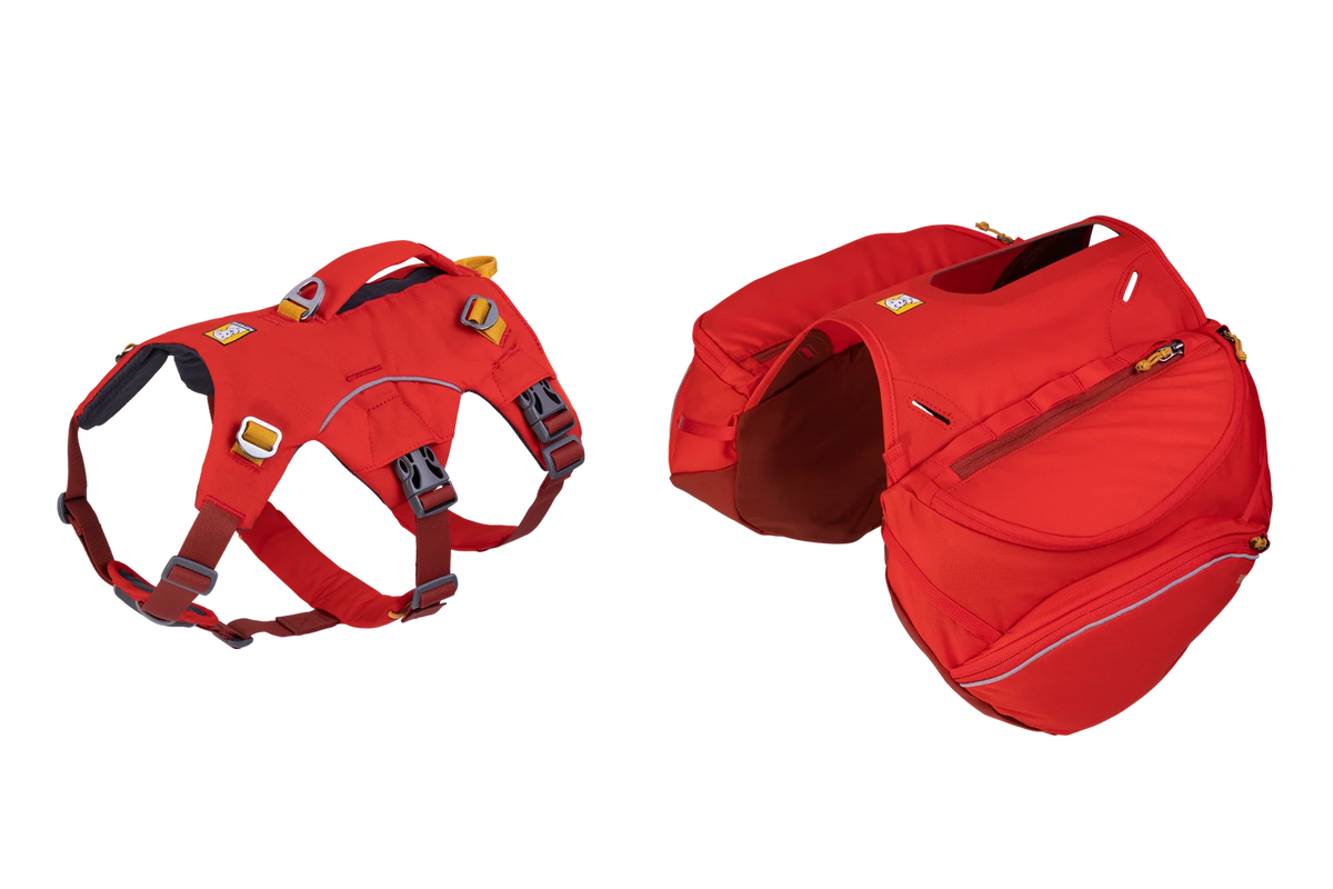 Dog Backpack