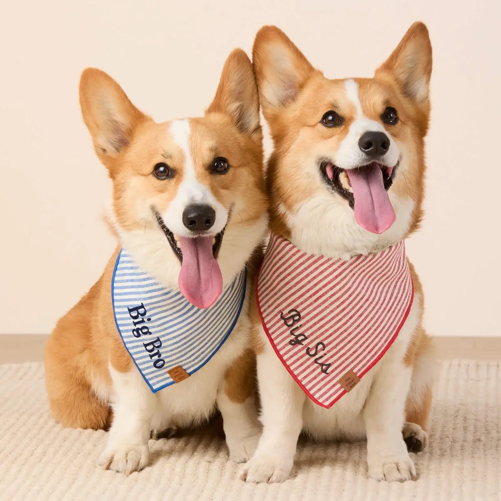 Dog Bandana in Lake Blue Stripe