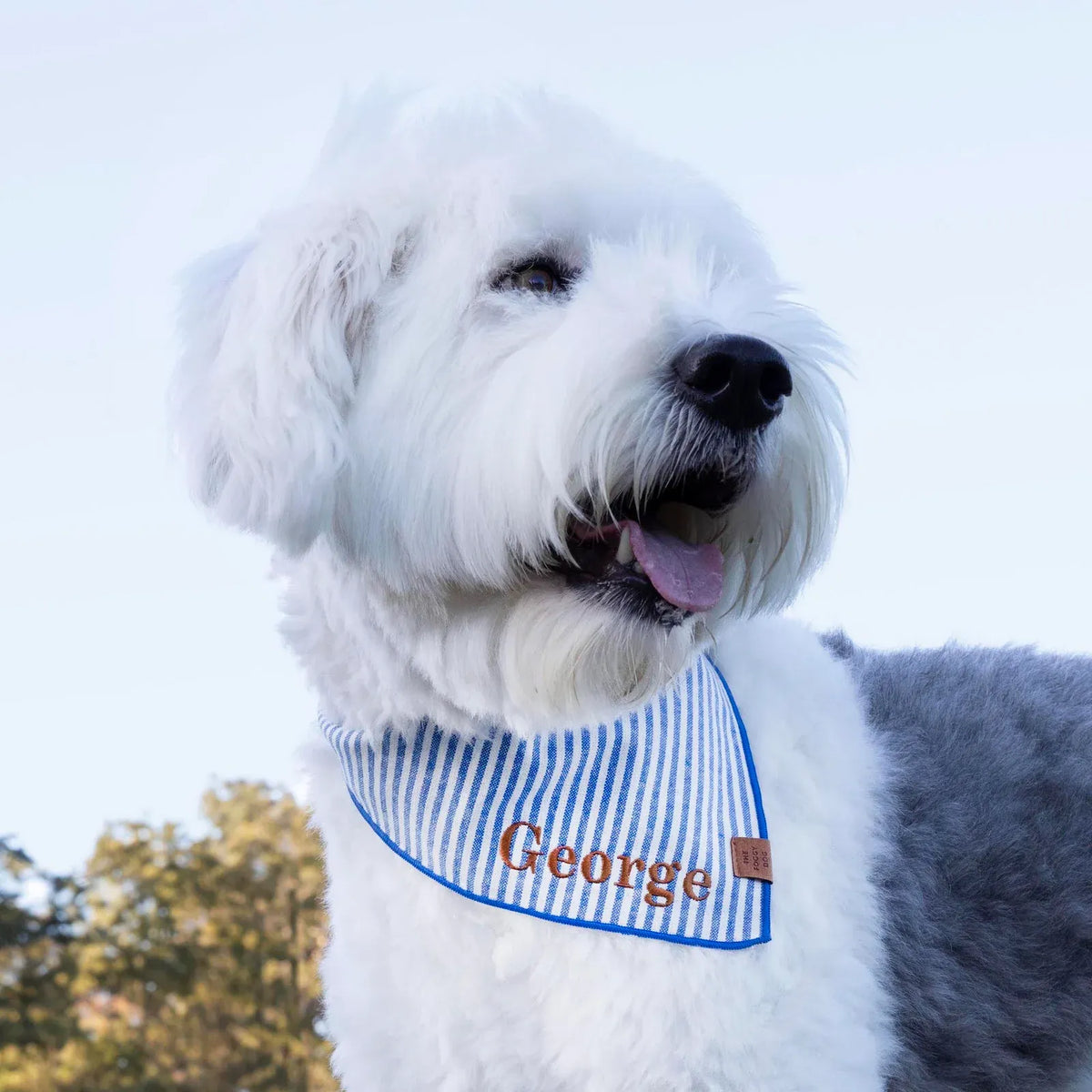 Dog Bandana in Lake Blue Stripe