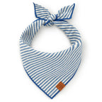 Dog Bandana in Lake Blue Stripe