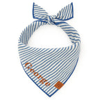 Dog Bandana in Lake Blue Stripe