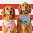 Dog Bandana in Lake Blue Stripe