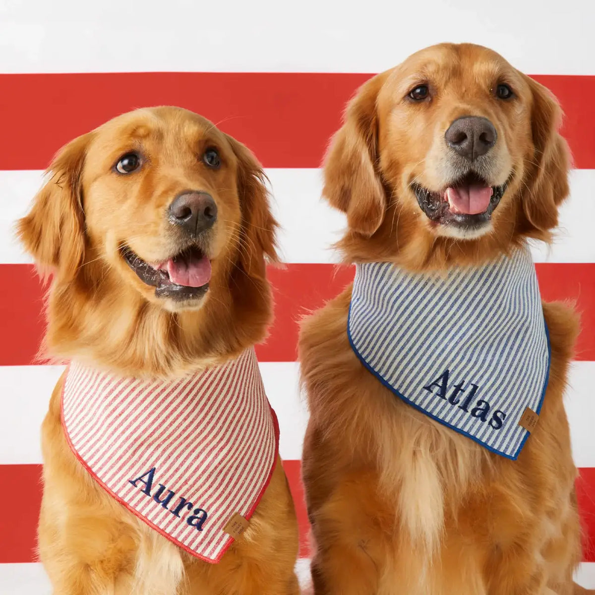 Dog Bandana in Lake Blue Stripe