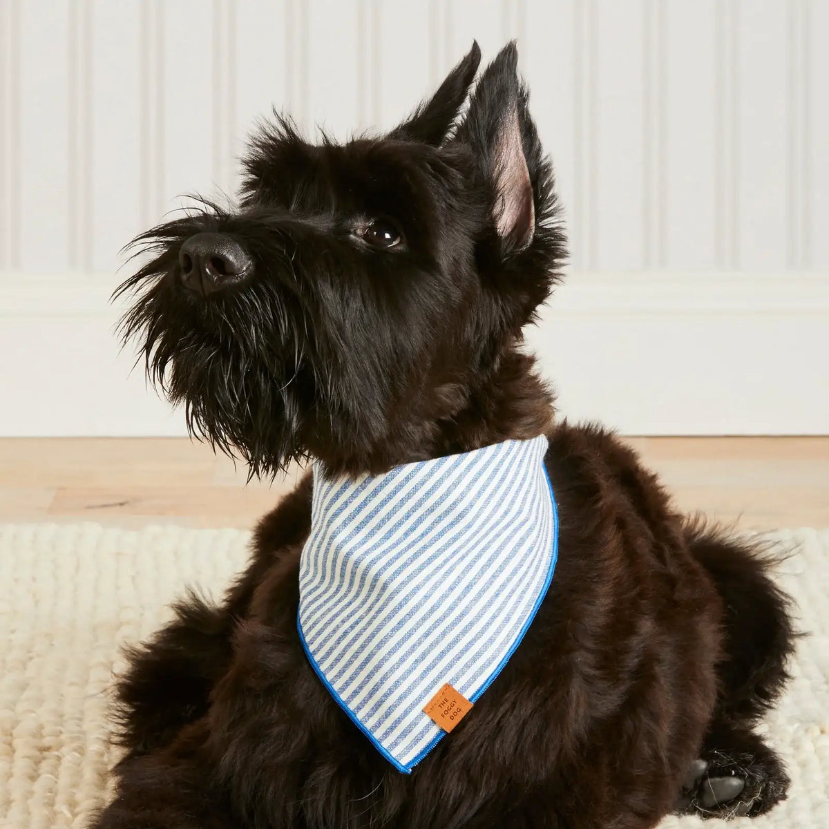 Dog Bandana in Lake Blue Stripe