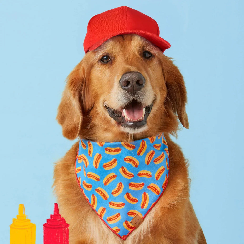 Dog Bandana with Triangle-Tie Shape, Red Merrow Hem and Three Neck Sizes for Everyday Wear
