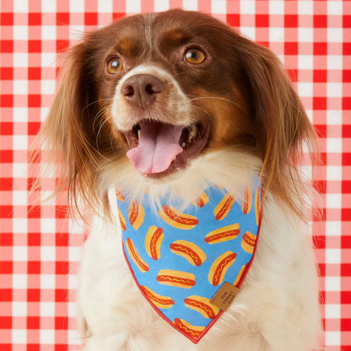Dog Bandana with Triangle-Tie Shape, Red Merrow Hem and Three Neck Sizes for Everyday Wear