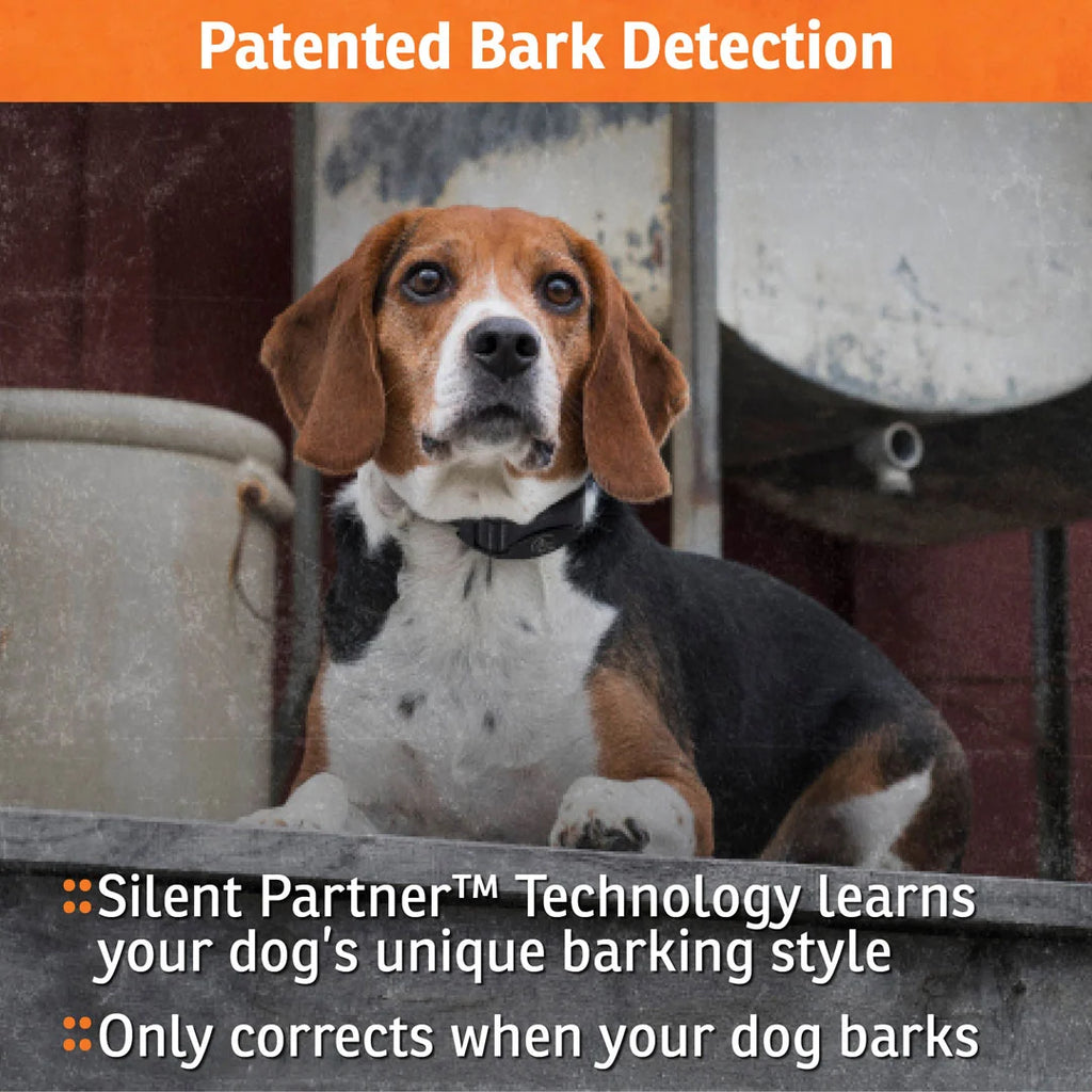 Dog Bark Control Collar