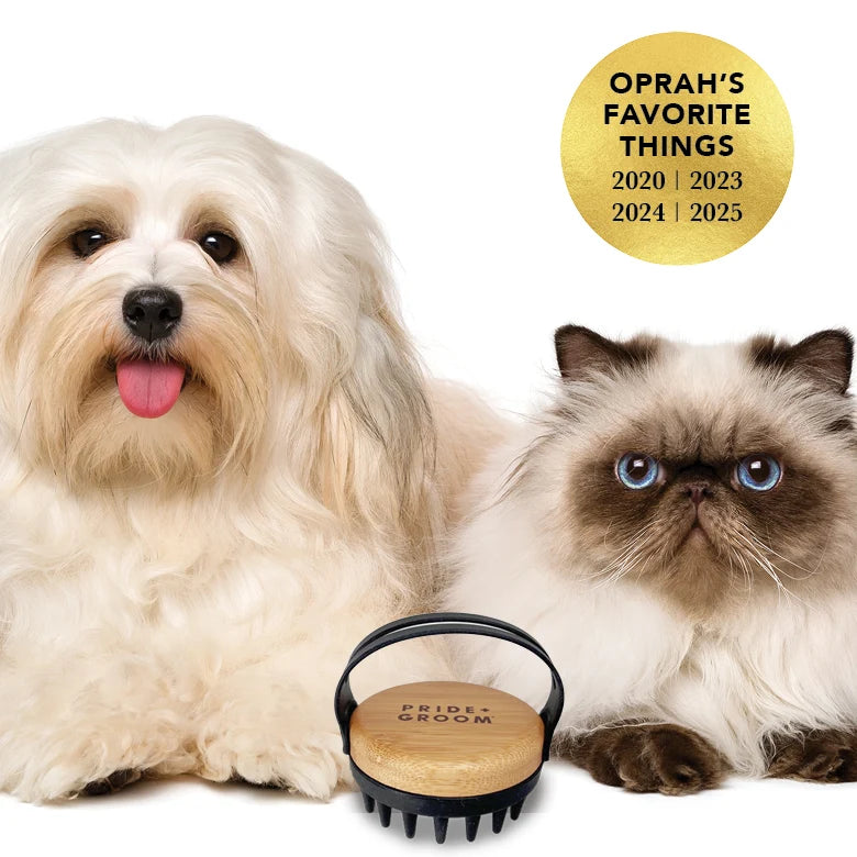 Dog Bath Brush with Flexible Silicone Bristles and a Comfortable Hand Strap for Wet and Dry Grooming