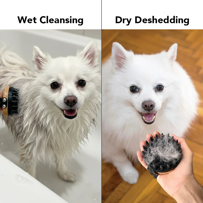 Dog Bath Brush with Flexible Silicone Bristles and a Comfortable Hand Strap for Wet and Dry Grooming
