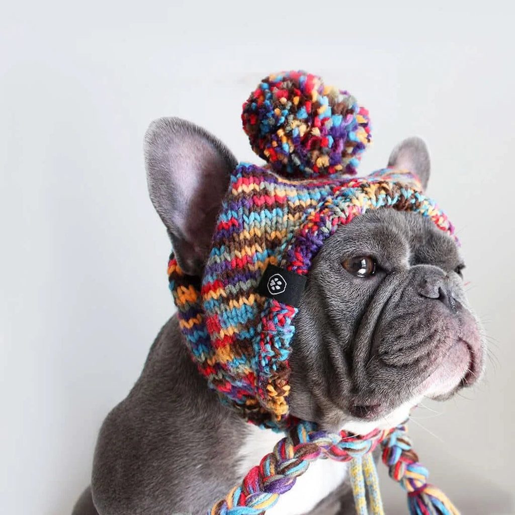 Dog Beanie Hat with — Hat - Multicolor / S (10-15lbs/4.5-7kg) / Hat - Multicolor / M (15-45lbs/7-20kg) / Hat - Multicolor / L