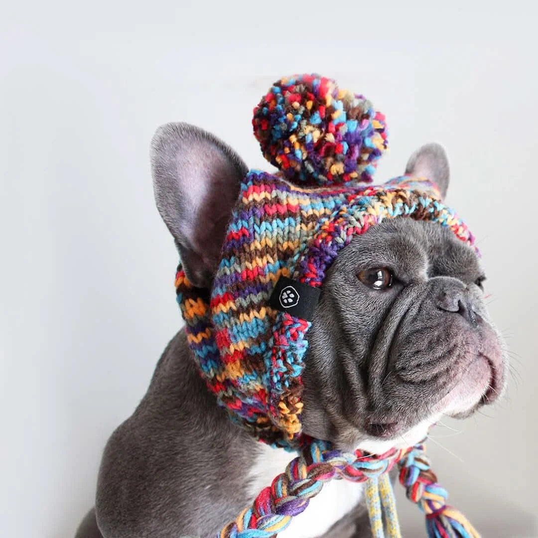 Dog Beanie Hat with — Hat - Multicolor / S (10-15lbs/4.5-7kg) / Hat - Multicolor / M (15-45lbs/7-20kg) / Hat - Multicolor / L