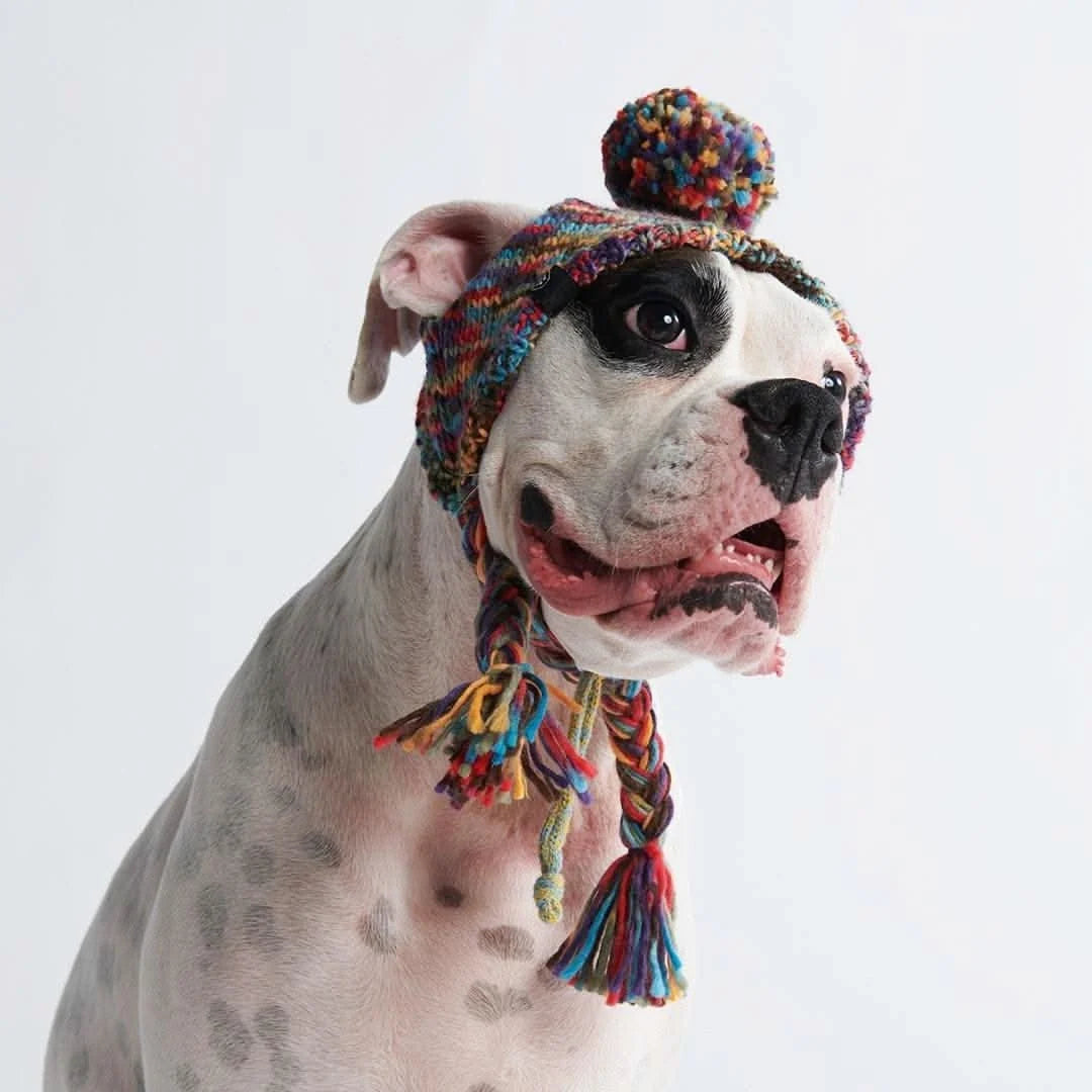 Dog Beanie Hat with Ear Openings, Toggle Fit and Pom Pom Design for Warm, Comfortable Chilly-Day Wear