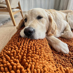 Dog Bed Towel Cover to Help Wet Dogs Dry While Resting After Baths, Swimming or Walks in the Rain