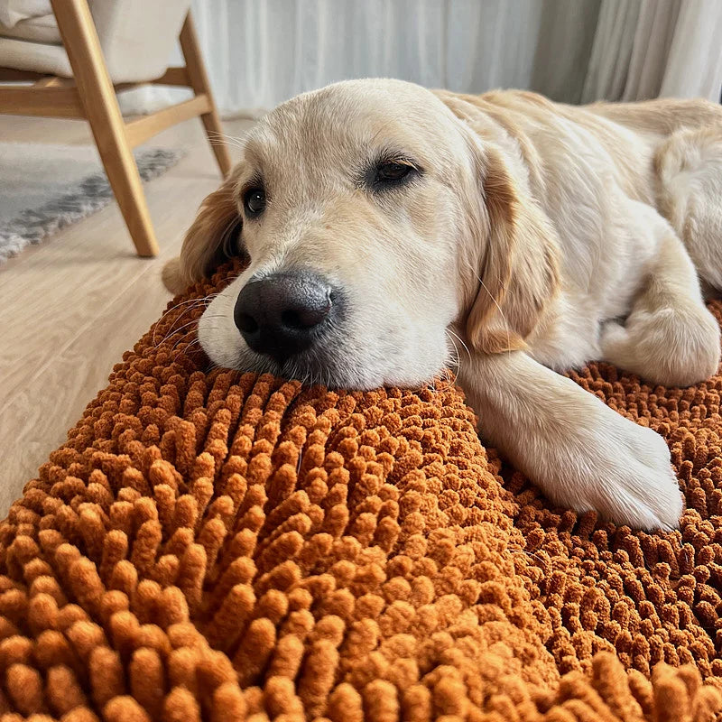 Dog Bed Towel Cover to Help Wet Dogs Dry While Resting After Baths, Swimming or Walks in the Rain