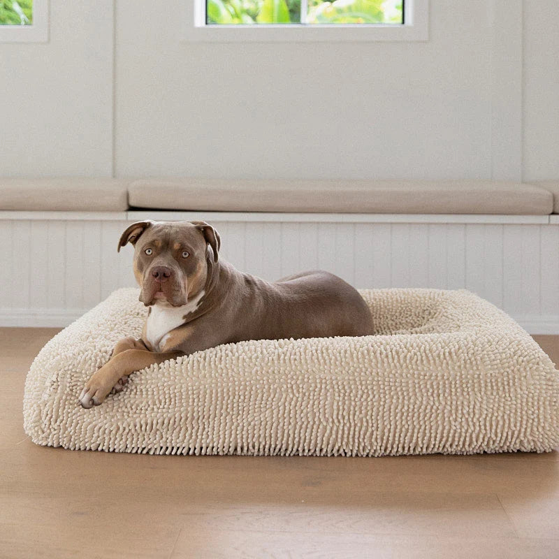 Dog Bed Towel Cover to Help Wet Dogs Dry While Resting After Baths, Swimming or Walks in the Rain