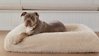 Dog Bed Towel Cover to Help Wet Dogs Dry While Resting After Baths, Swimming or Walks in the Rain