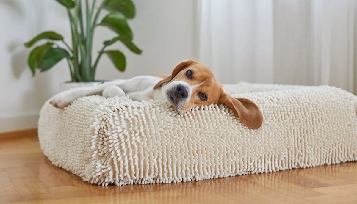 Dog Bed Towel Cover to Help Wet Dogs Dry While Resting After Baths, Swimming or Walks in the Rain