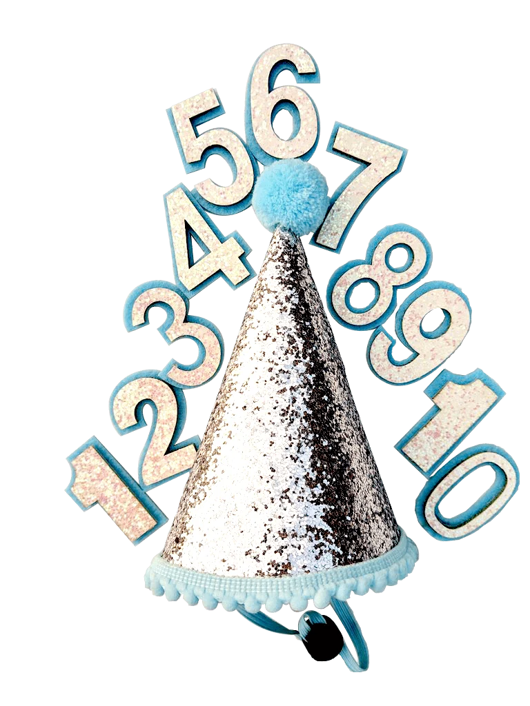 Dog Birthday Hat, Blue