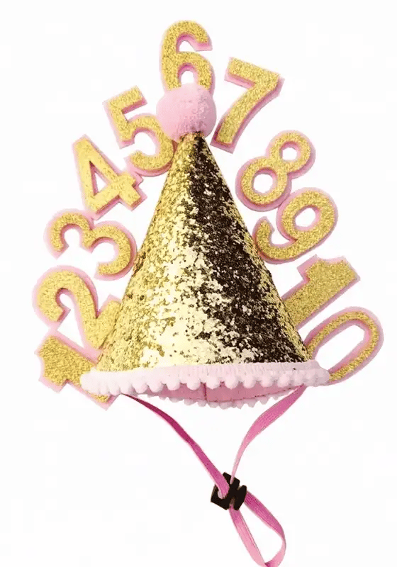 Dog Birthday Hat