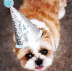 Dog Birthday Hat