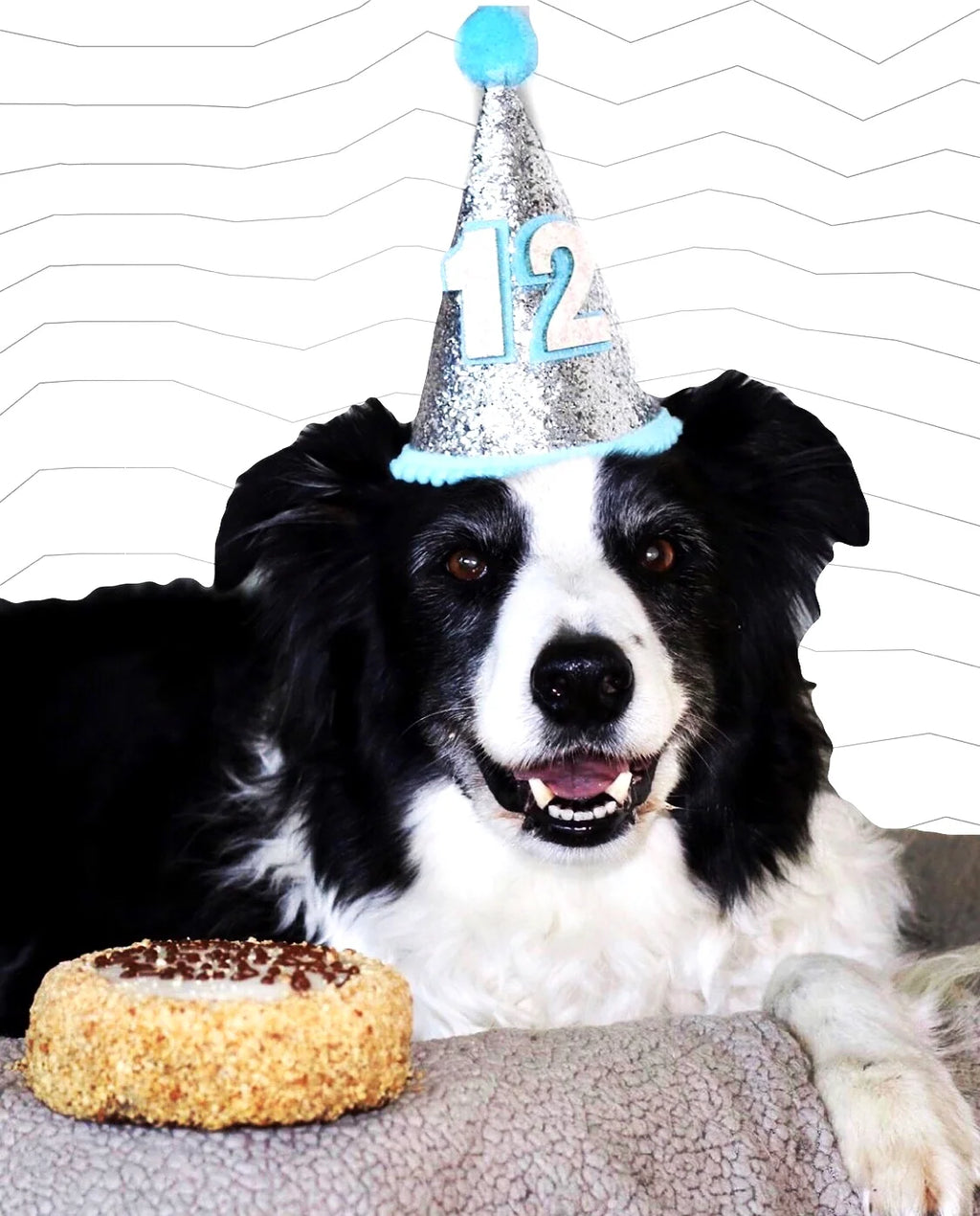 Dog Birthday Hat