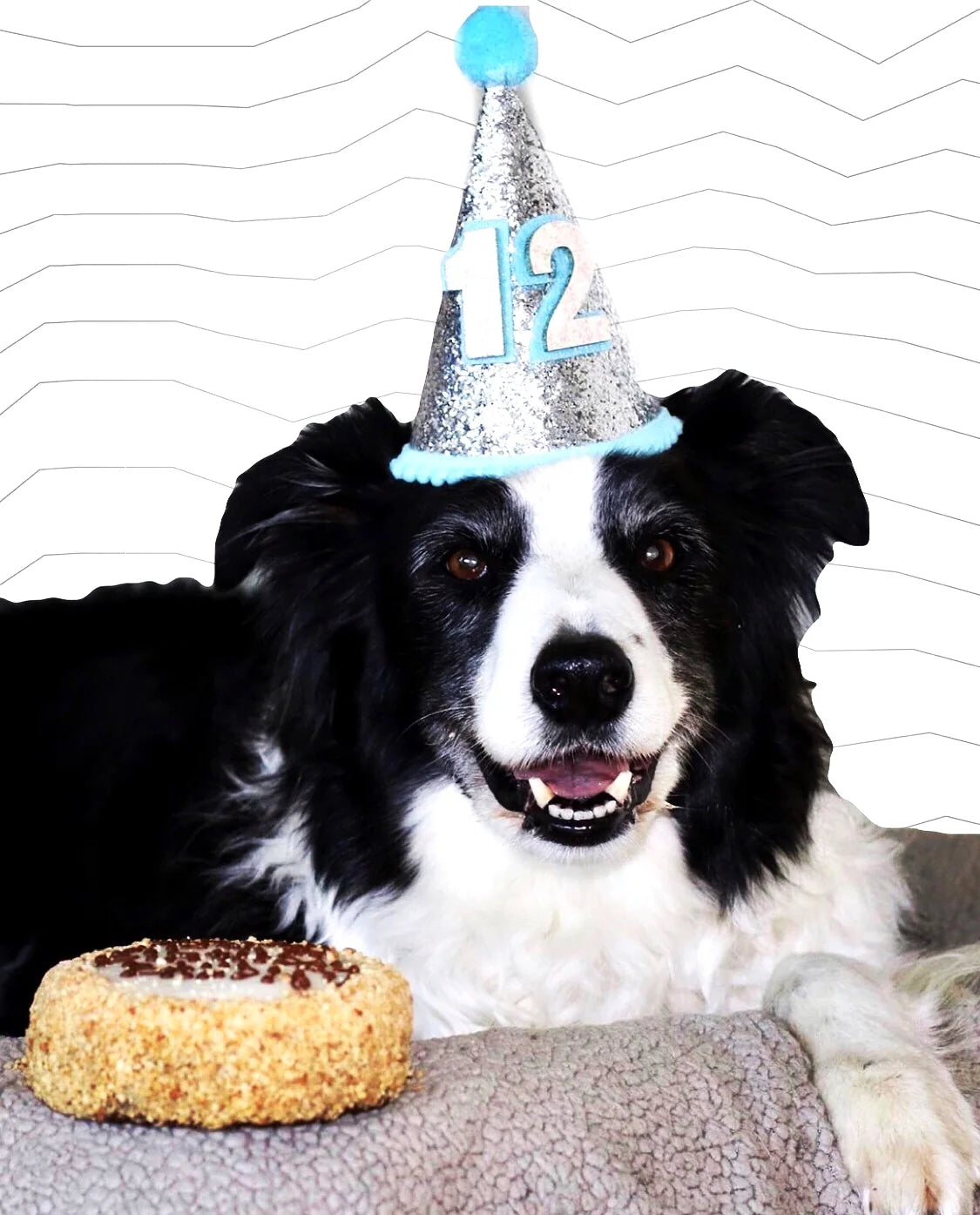 Dog Birthday Hat