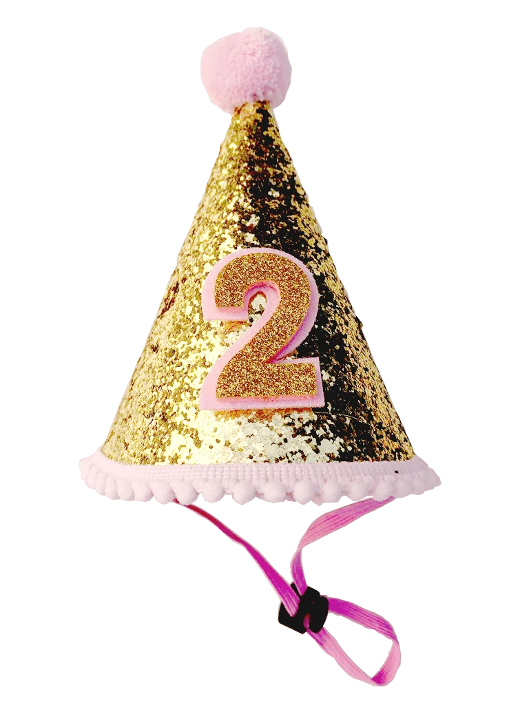 Dog Birthday Hat