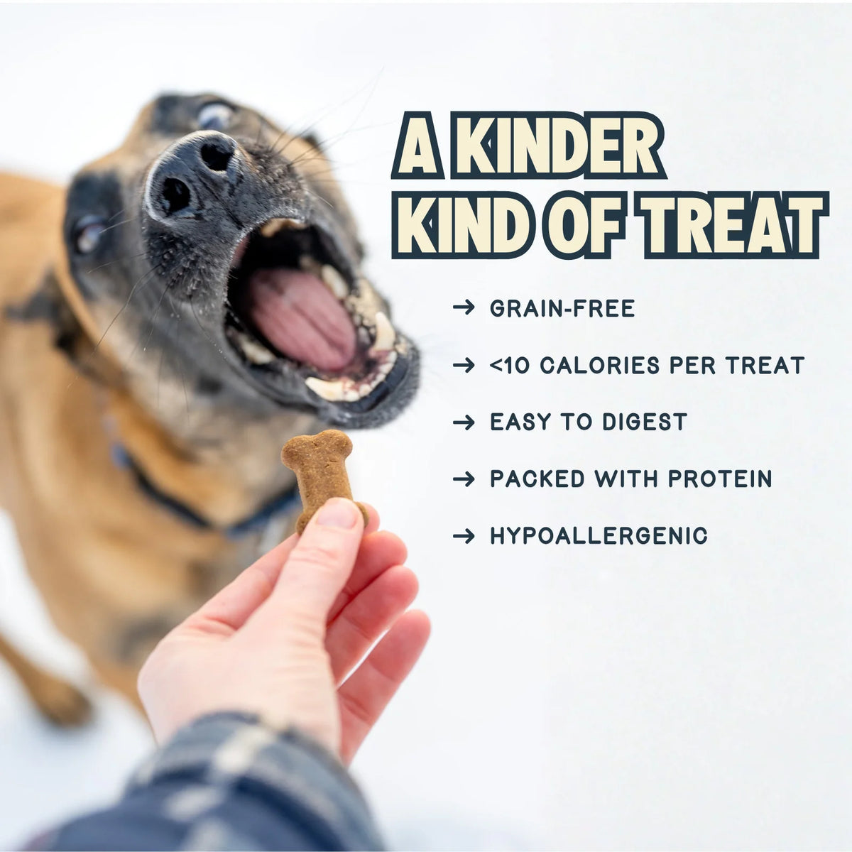 Dog Biscuits