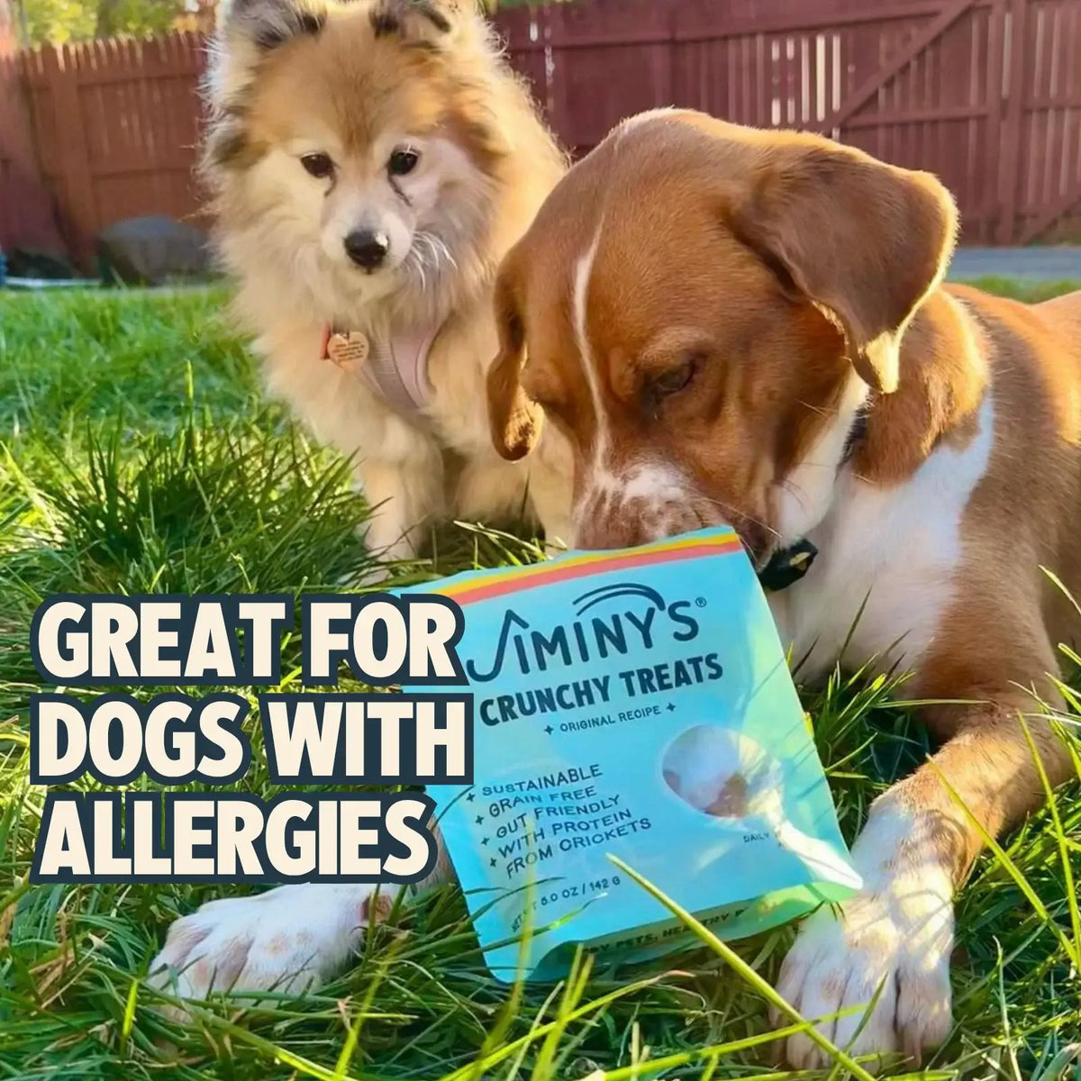 Dog Biscuits