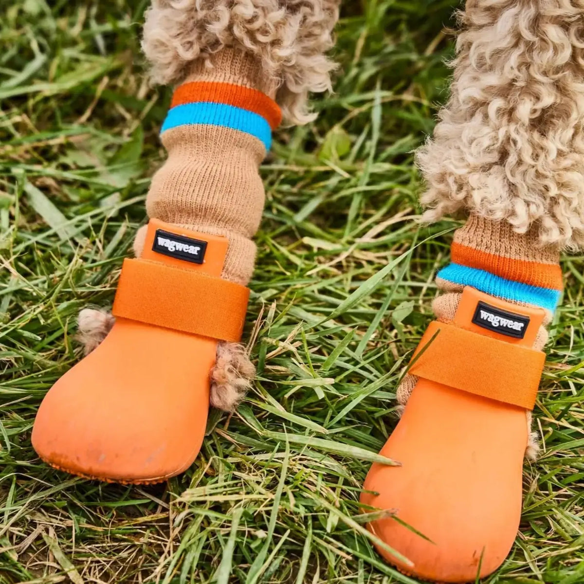 Dog Boots in 100% Gum Rubber, Set of Four Slip-On Wellington