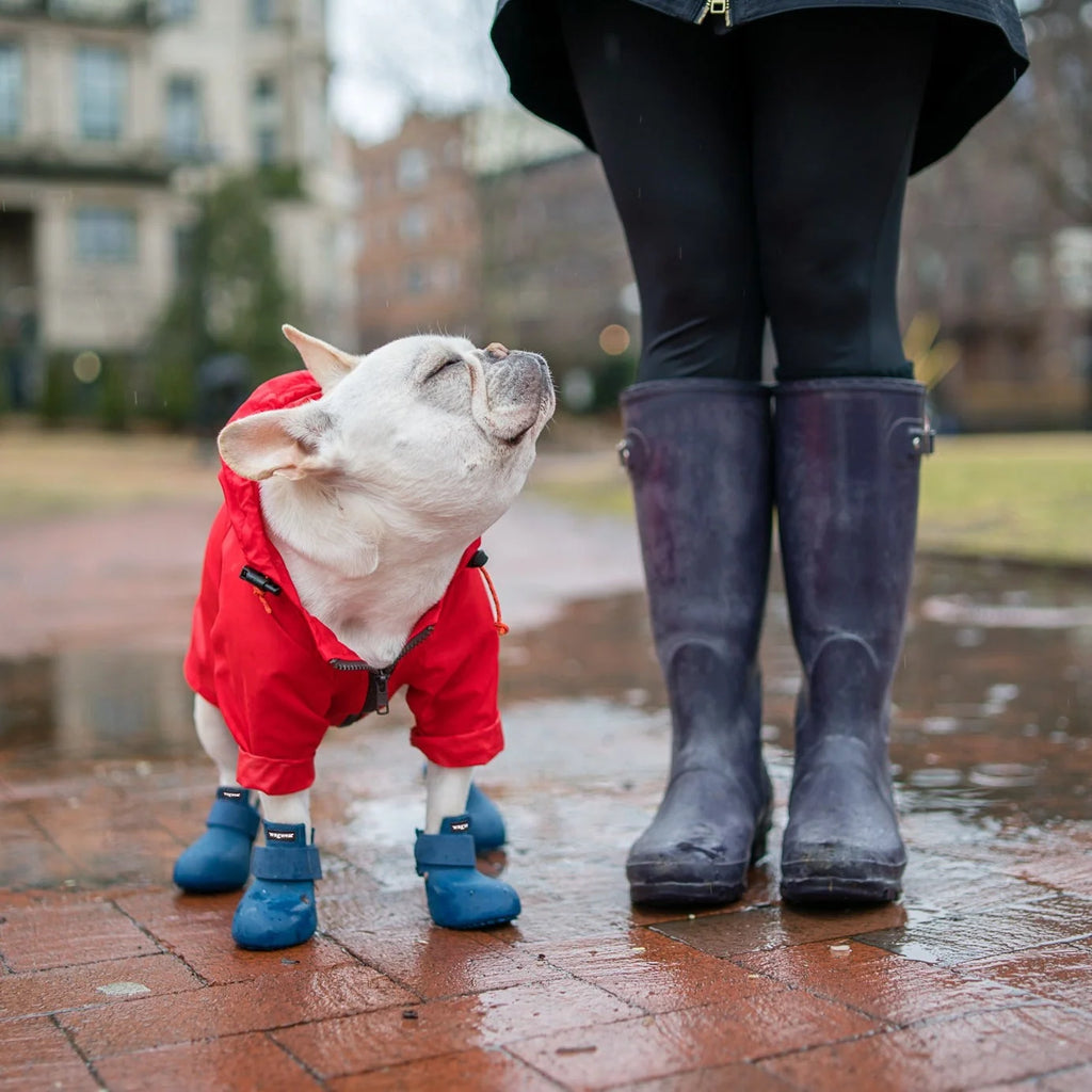 Dog Boots in 100% Gum Rubber, Set of Four Slip-On Wellington