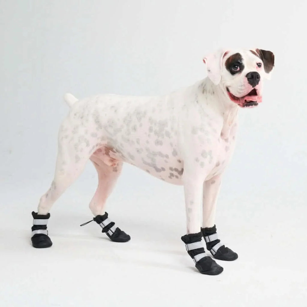 Dog Boots with Water-Resistant Exterior, Reflective Straps and Secure Velcro Fit for Snow, Salt and Rough Ground