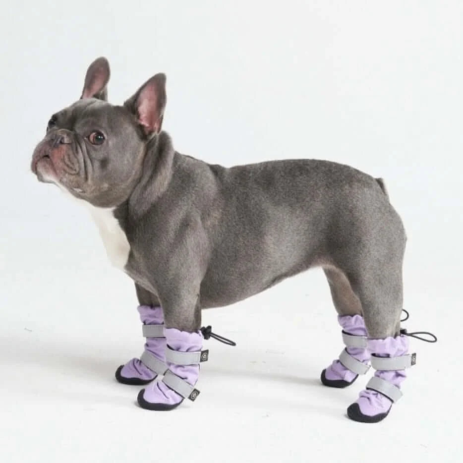 Dog Boots with Water-Resistant Exterior, Reflective Straps and Secure Velcro Fit for Snow, Salt and Rough Ground