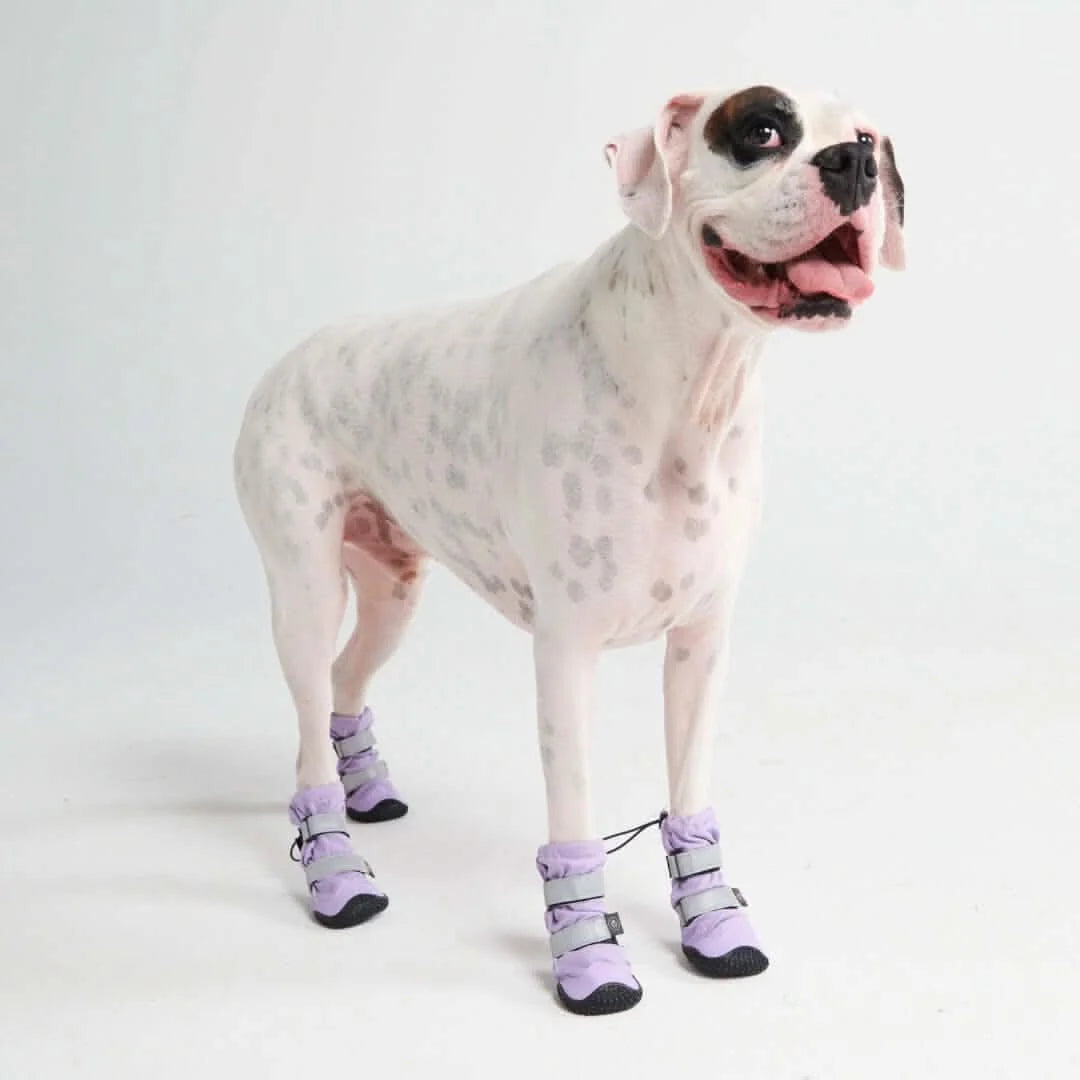 Dog Boots with Water-Resistant Exterior, Reflective Straps and Secure Velcro Fit for Snow, Salt and Rough Ground