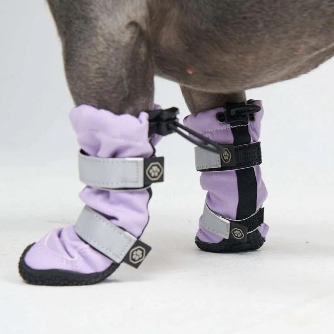 Dog Boots with Water-Resistant Exterior, Reflective Straps and Secure Velcro Fit for Snow, Salt and Rough Ground