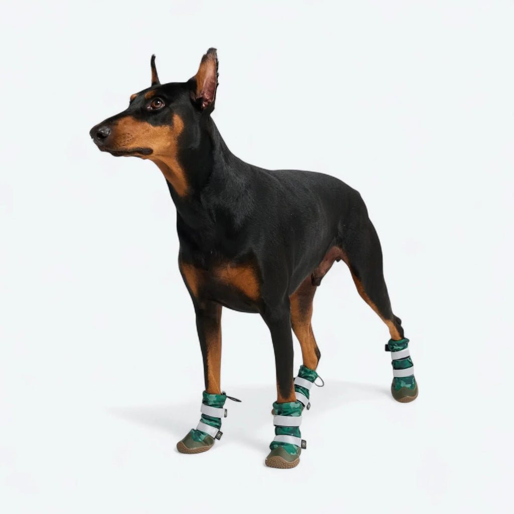 Dog Boots with Water-Resistant Exterior, Reflective Straps and Secure Velcro Fit for Snow, Salt and Rough Ground
