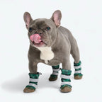 Dog Boots with Water-Resistant Exterior, Reflective Straps and Secure Velcro Fit for Snow, Salt and Rough Ground