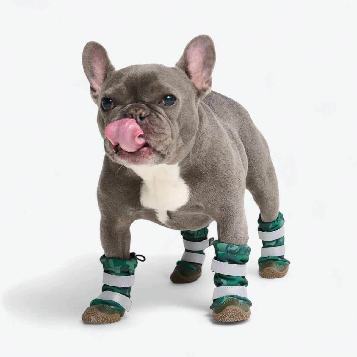 Dog Boots with Water-Resistant Exterior, Reflective Straps and Secure Velcro Fit for Snow, Salt and Rough Ground