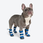 Dog Boots with Water-Resistant Exterior, Reflective Straps and Secure Velcro Fit for Snow, Salt and Rough Ground