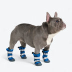 Dog Boots with Water-Resistant Exterior, Reflective Straps and Secure Velcro Fit for Snow, Salt and Rough Ground